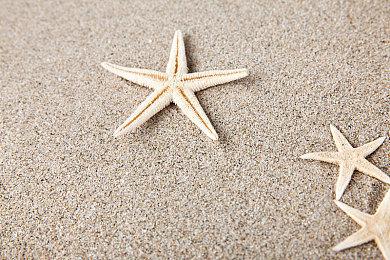 《超级猴子球 香蕉大乱斗》DLC“世嘉通行证”新角色今日发布！对战模式新增关卡